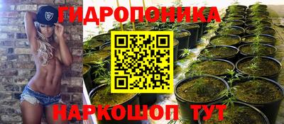 дмт Севастополь
