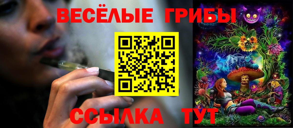 Галлюциногенные грибы Magic Shrooms  наркотики  Орск  Вход с VPN 